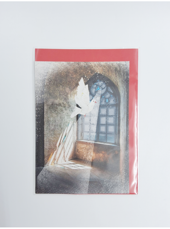 Greeting card window with dove