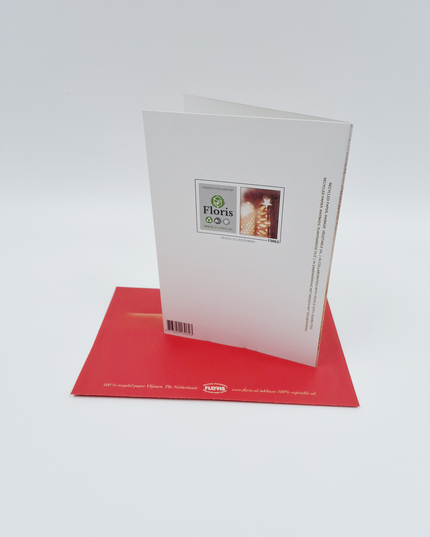 Wenskaart raam en ster