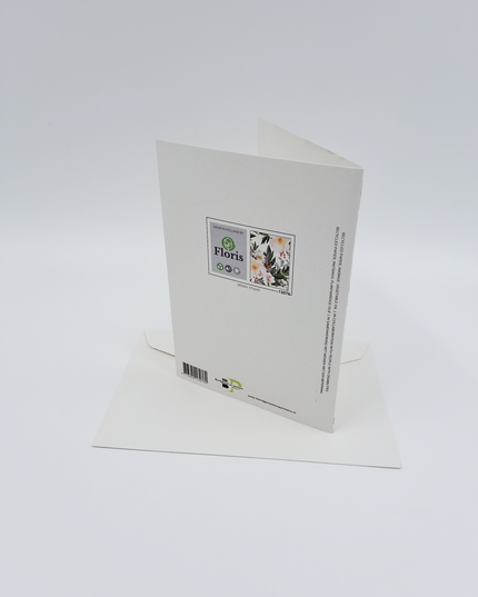 Wenskaart kerstbloemen wit