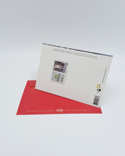 Wenskaart kerstduif in bos