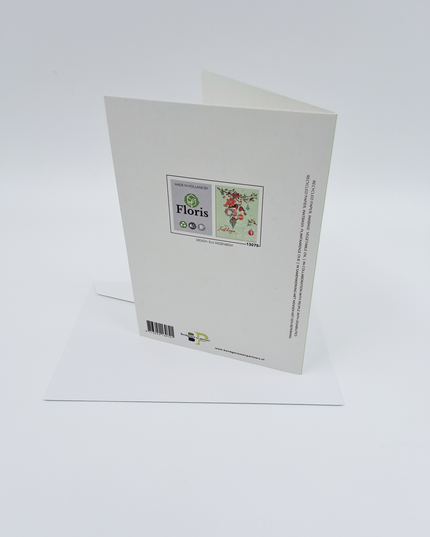 wenskaart vogels en ballen