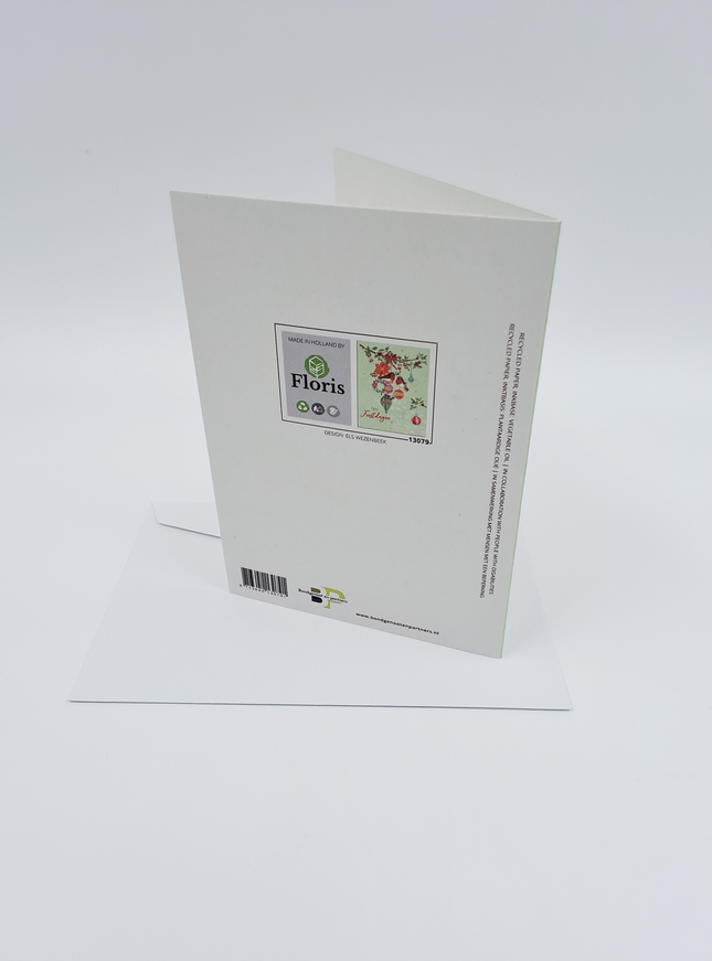 wenskaart vogels en ballen