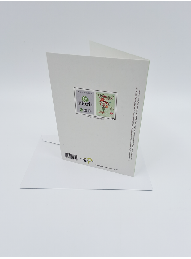 wenskaart vogels en ballen