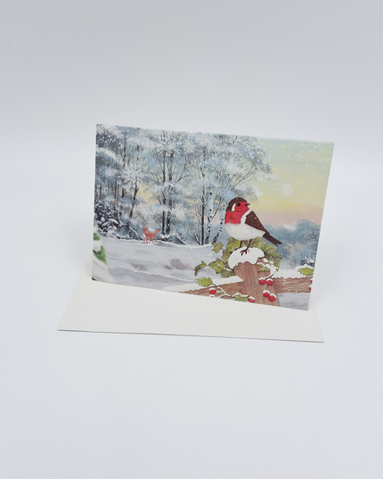 Wenskaart kerstman in bus