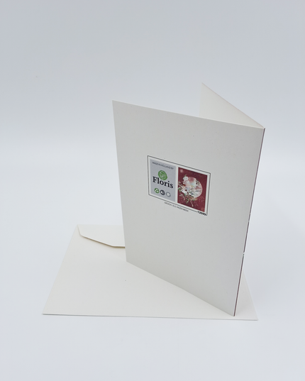 Wenskaart dieren, prettige feestdagen