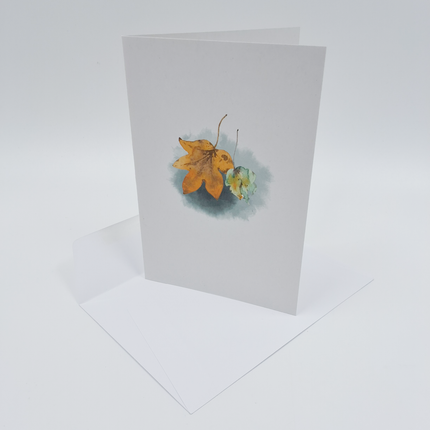 Collection image for: Wenskaarten Floris 2.0