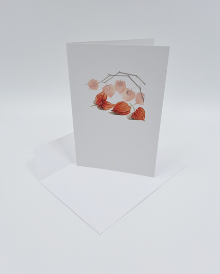 wenskaart lampioenen