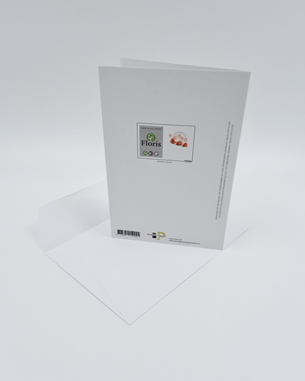 wenskaart lampioenen