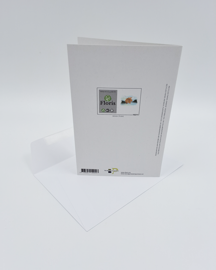 Wenskaart blad en bergen