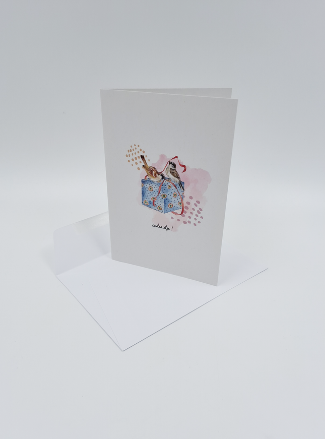wenskaart vogeltjes en cadeau