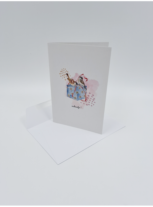wenskaart vogeltjes en cadeau
