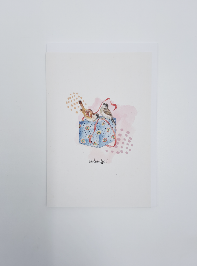 wenskaart vogeltjes en cadeau