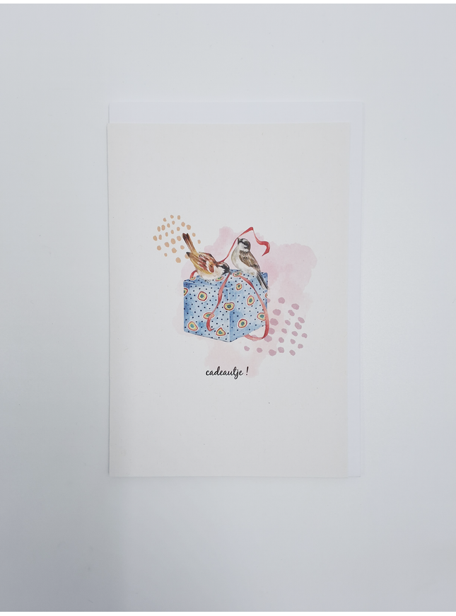 wenskaart vogeltjes en cadeau