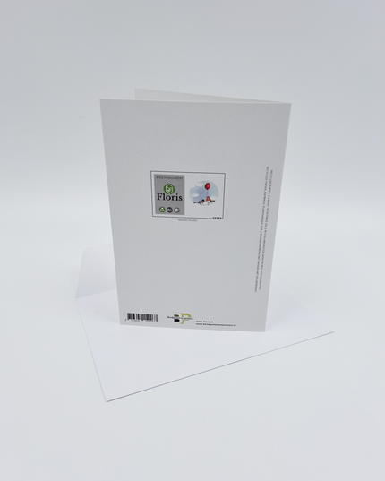 wenskaart vogels met ballon