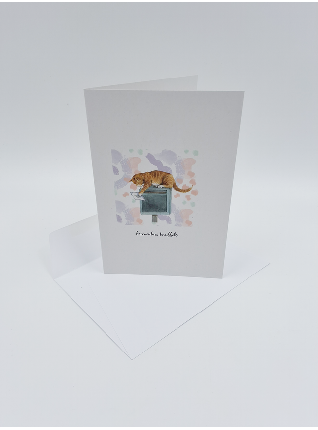 Greeting card cat, letterbox cuddly toys