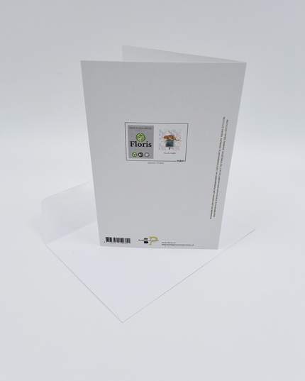 Wenskaart poes, brievenbus knuffels