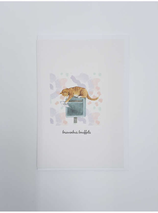 Greeting card cat, letterbox cuddly toys