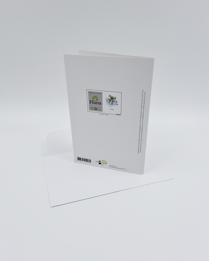 Wenskaart kikker, een opkikkertje