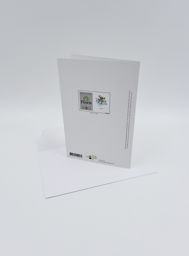 Wenskaart kikker, een opkikkertje