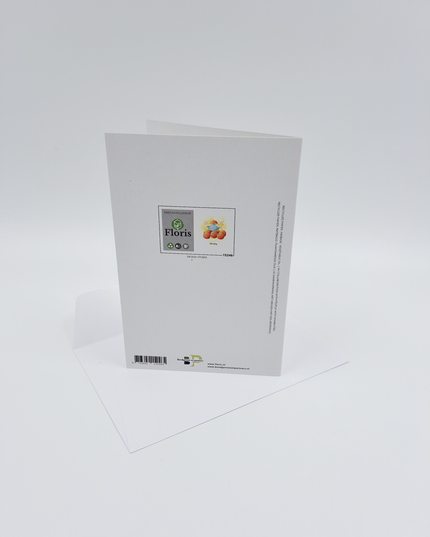 Wenskaart sinaasappels, beterschap