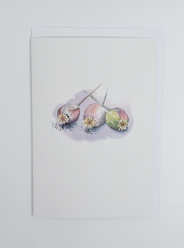 Wenskaart papavers (F15249)