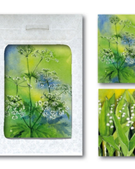 Wenskaarten tasje 6x lelietjes, fluitekruid (F11593 + F11594)
