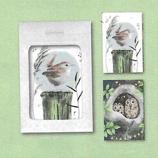Wenskaarten tasje 6x uil en vogel (F10013 + F10012)