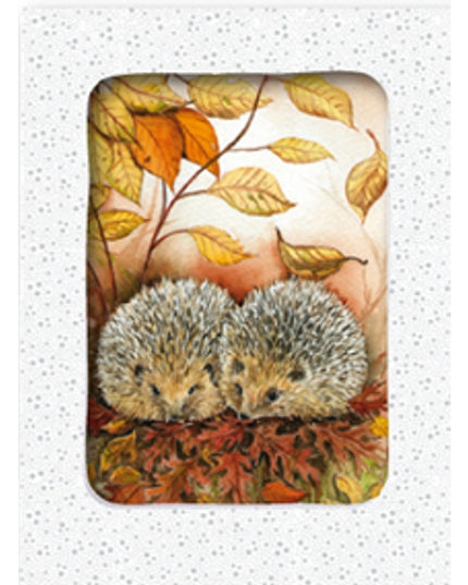 Wenskaarten doosje 5x 2 egels Jeanine (F11725)