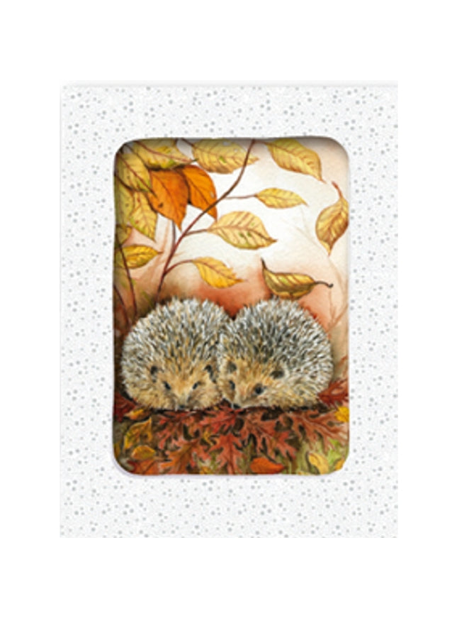 Wenskaarten doosje 5x 2 egels Jeanine (F11725)