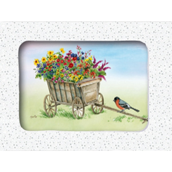 Wenskaarten doosje 5x bolderkar bloemen (F12380)