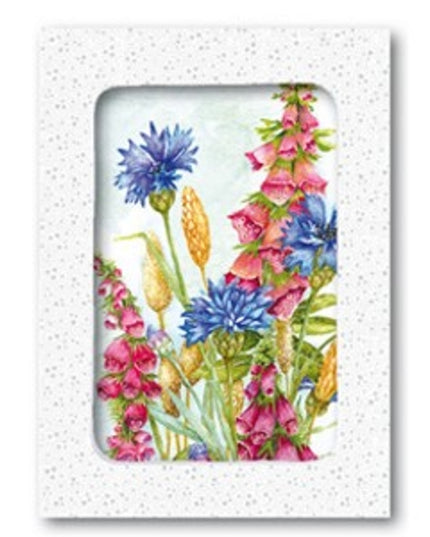 Wenskaarten doosje 5x korenbloem ridderspoor (F12475)