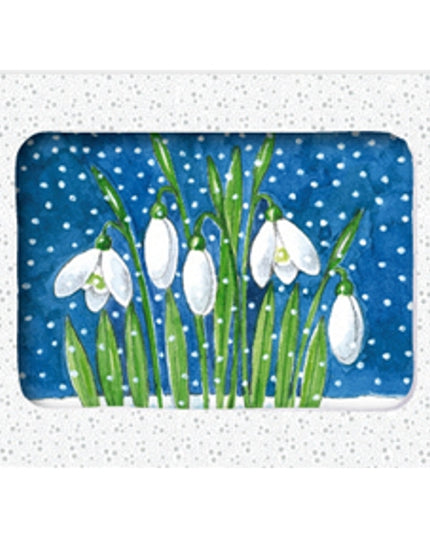 Wenskaarten doosje 5x sneeuwklokjes sneeuw (F12588)