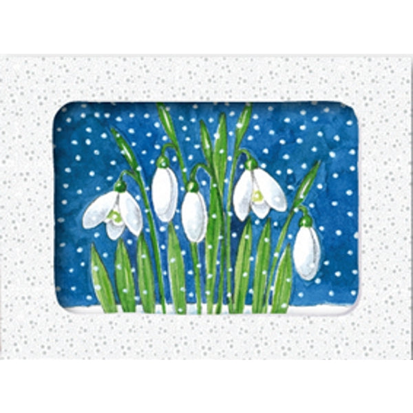 Wenskaarten doosje 5x sneeuwklokjes sneeuw (F12588)