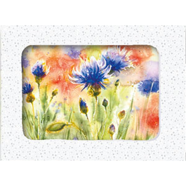 Wenskaarten doosje 5x korenbloemen (F11066)