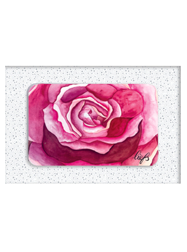 Wenskaarten doosje 5x roos (F11020)