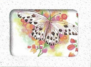 Wenskaarten doosje 5x vlinder (F10054)