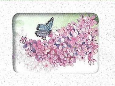 Wenskaarten doosje 5x vlinder op bloementak (F10053)