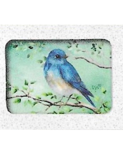 Wenskaarten doosje 5x blauwe vogel op tak (F10005)
