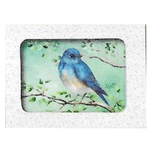 Wenskaarten doosje 5x blauwe vogel op tak (F10005)