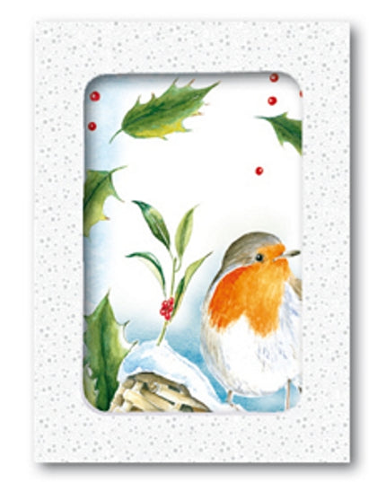 Kerstkaarten doosje 10x roodborstje hulst (F12881)