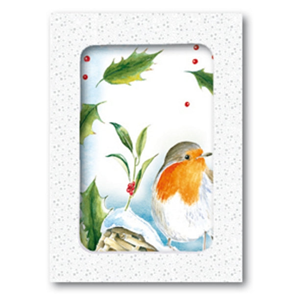 Kerstkaarten doosje 10x roodborstje hulst (F12881)