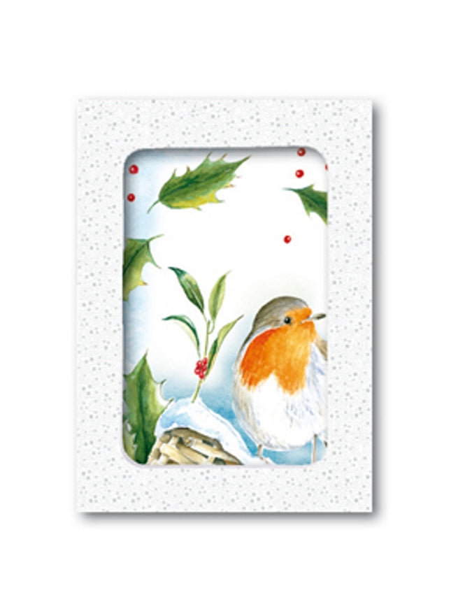 Kerstkaarten doosje 10x roodborstje hulst (F12881)