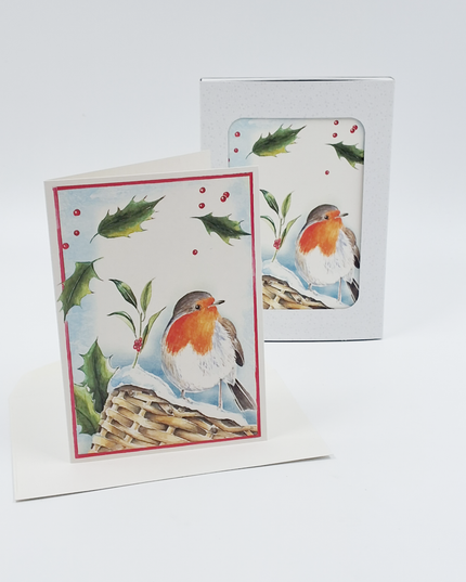 Kerstkaarten doosje 10x roodborstje hulst (F12881)