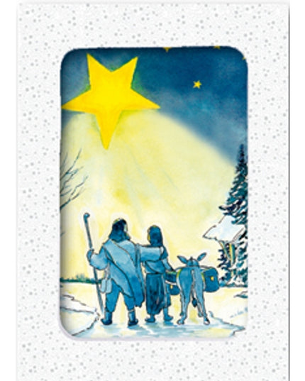 Kerstkaarten doosje 10x ezel Jozef Maria (F12963)