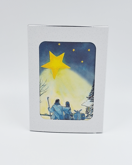 Kerstkaarten doosje 10x ezel Jozef Maria (F12963)