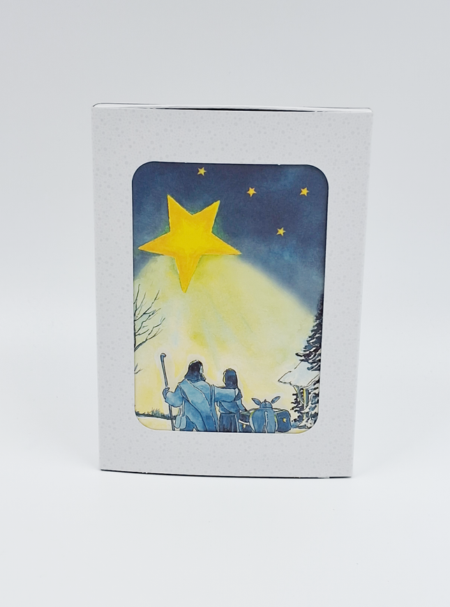 Kerstkaarten doosje 10x ezel Jozef Maria (F12963)