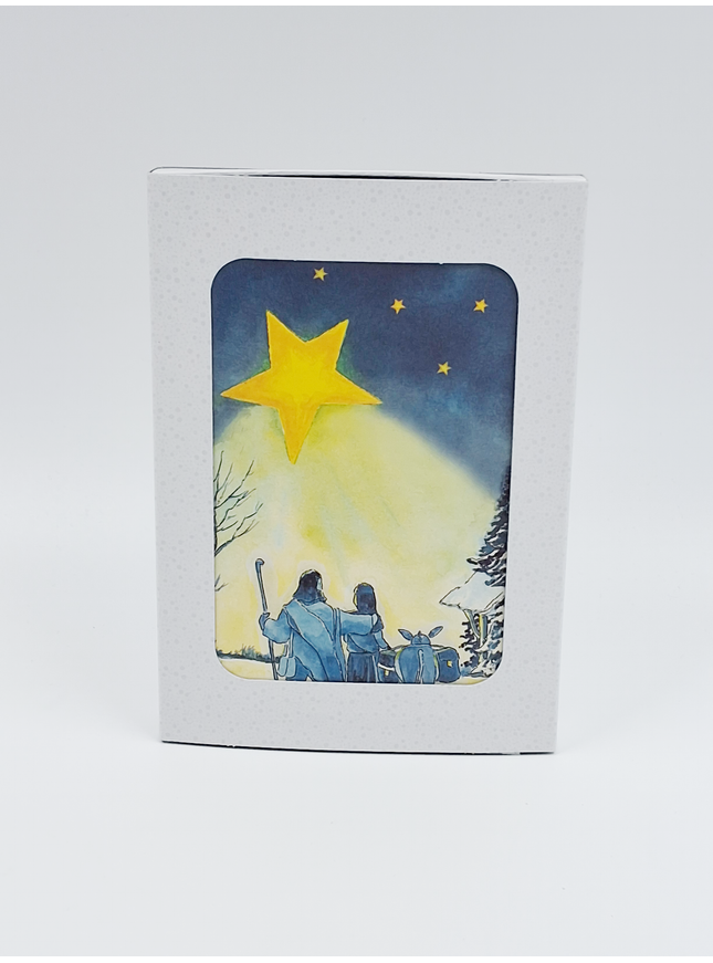 Kerstkaarten doosje 10x ezel Jozef Maria (F12963)