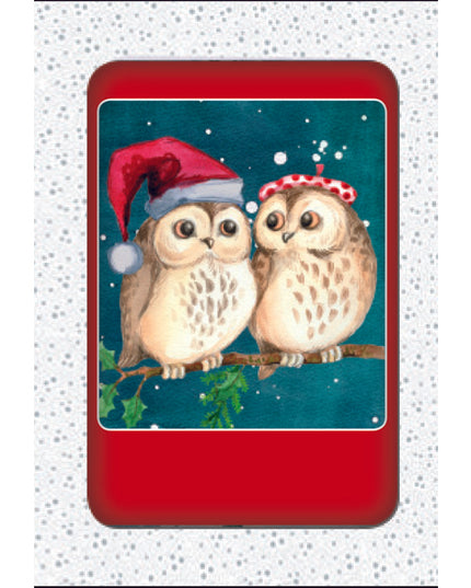 Kerstkaarten doosje 10x twee uilen (F13039)