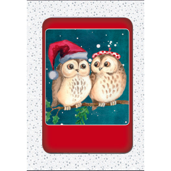 Kerstkaarten doosje 10x twee uilen (F13039)