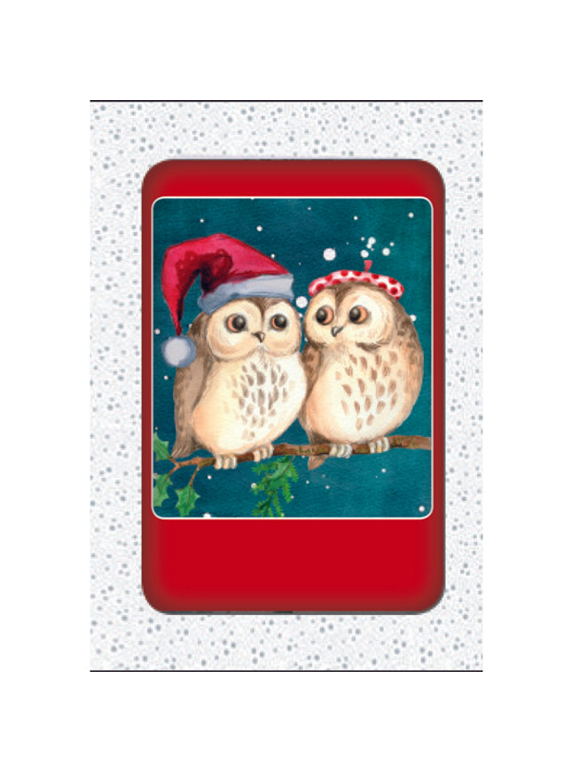 Kerstkaarten doosje 10x twee uilen (F13039)